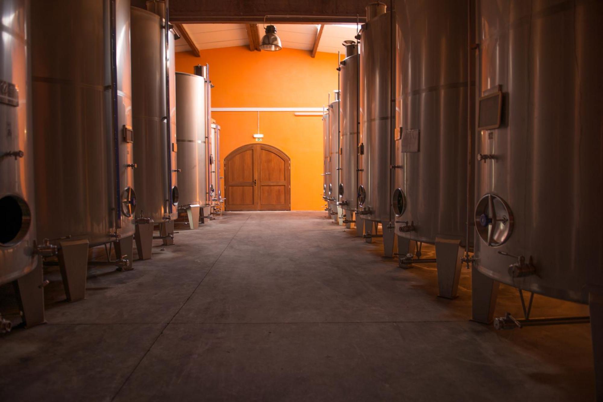 Вилла Tranca Da Barriga - Casa Do Vinho By Quinta De Sao Tiago Ковильян Экстерьер фото