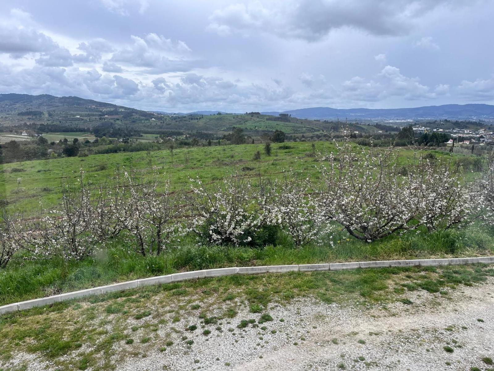 Вилла Tranca Da Barriga - Casa Do Vinho By Quinta De Sao Tiago Ковильян Экстерьер фото